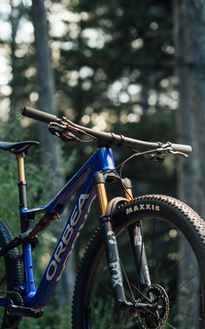 MTB