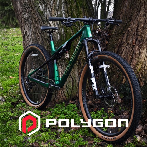 Polygon SYNCLINE DR8