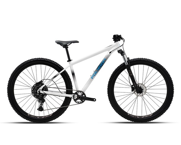 Polygon CASCADE 5 29" WHT