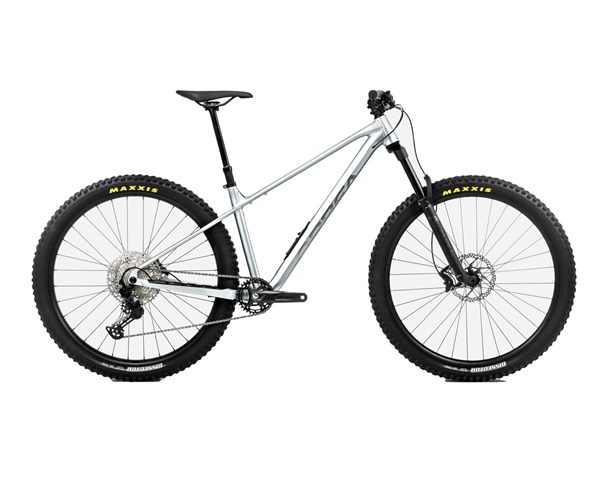 Orbea Laufey H10 Smooth Silver - Titanium